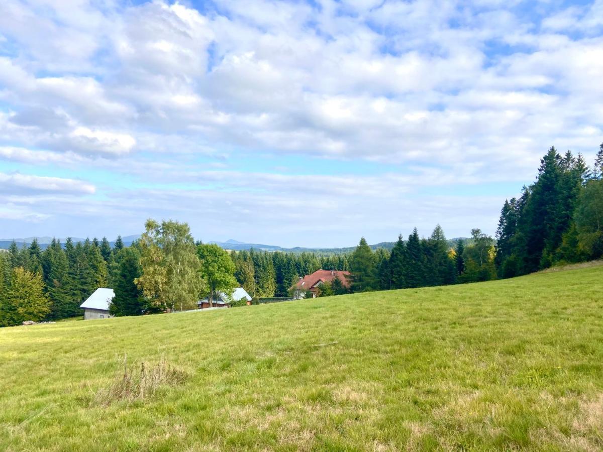 Agroturystyka Sarni Stok Krynica Zdroj Ngoại thất bức ảnh