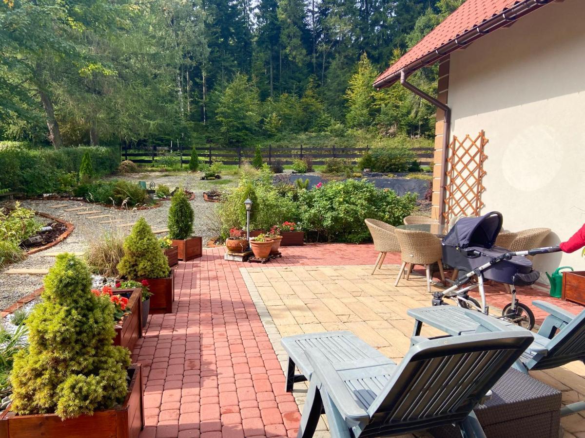 Agroturystyka Sarni Stok Krynica Zdroj Ngoại thất bức ảnh