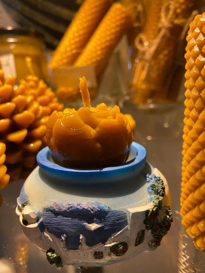 Agroturystyka Sarni Stok Krynica Zdroj Ngoại thất bức ảnh